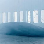 lamborghini countach 2022 06