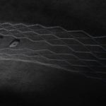 nissan gt-r t-spec 2021 18