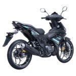 wmoto f15 11
