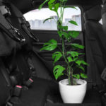 honda hr-v 2022 indonesia 05