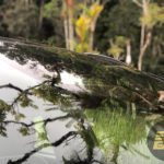 volvo xc40 recharge ev 08