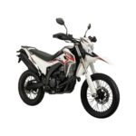 Wmoto SX2-300 02