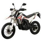 Wmoto SX2-300 03
