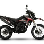 Wmoto SX2-300 04