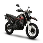Wmoto SX2-300 05