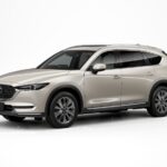 mazda cx-8 2022 05