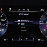 kia carnival ckd 2022 01