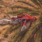 31500_Motocross _ MC 250F _ 2023 _ Action