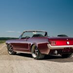 Ford Mustang Convertible Caged 11