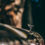 Rolls-Royce Spectre ujian 10