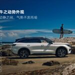 volkswagen tavendor 03