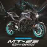 yamaha mt-25 14