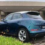 ora good cat 2022 01 wm