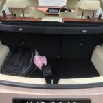 ora good cat 2022 02