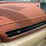 ora good cat 2022 04