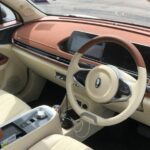 ora good cat 2022 07 wm