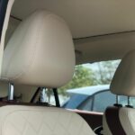 ora good cat 2022 09