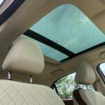 ora good cat 2022 10