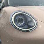 ora good cat 2022 11