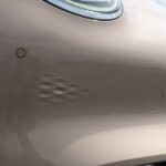 ora good cat 2022 12