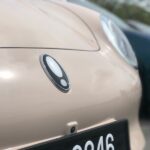 ora good cat 2022 13