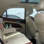 ora good cat 2022 14 wm