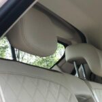 ora good cat 2022 15 wm