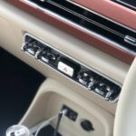 ora good cat 2022 17