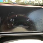 ora good cat 2022 19