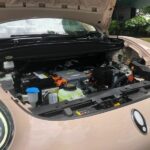 ora good cat 2022 20