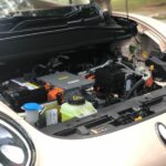 ora good cat 2022 21