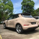 ora good cat 2022 22