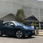 ora good cat 2022 23 wm