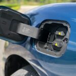 ora good cat 2022 26