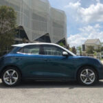 ora good cat 2022 27