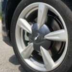 ora good cat 2022 28