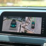 ora good cat 2022 30