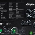 modenas ninja 250 ohlins 02