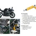 modenas ninja 250 ohlins 06