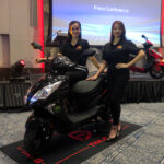 tailg ebixon bold 01