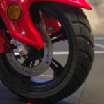 tailg ebixon bold 03