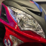 tailg ebixon bold 04