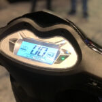 tailg ebixon bold 06