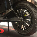 tailg ebixon bold 12