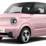 Geely Panda Mini EV 05