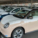 ora good cat first batch 01