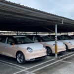 ora good cat first batch 02