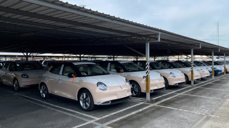 ora good cat first batch 02