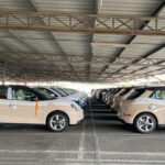 ora good cat first batch 03