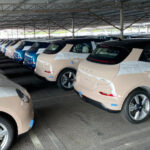 ora good cat first batch 04